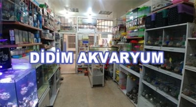 Didim Akvaryum